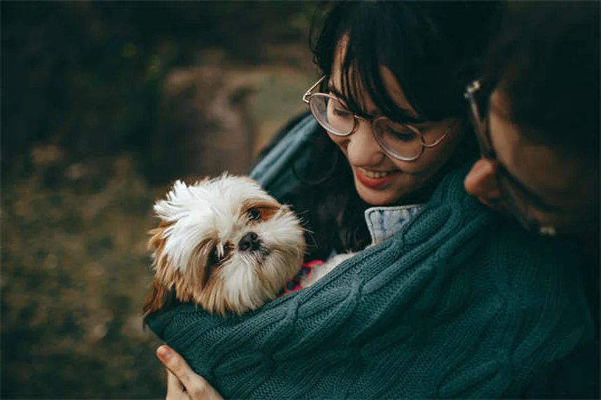 Mascotas en el aula: 5 beneficios sorprendentes para los niños